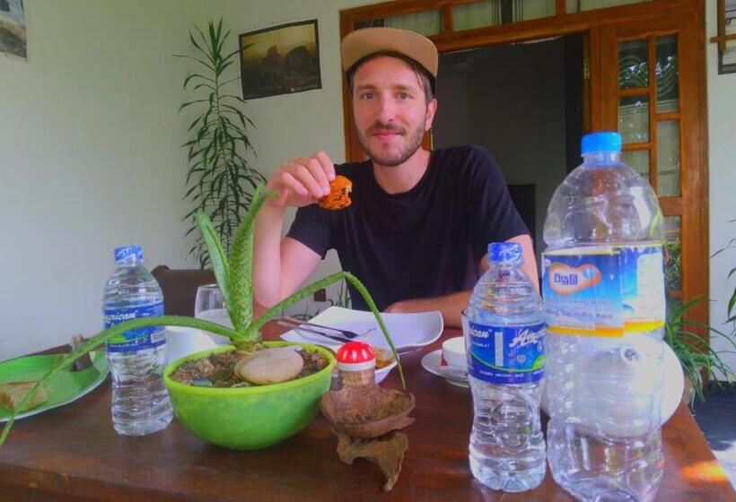 تختخواب و صبحانه Aloe Vera Guest House