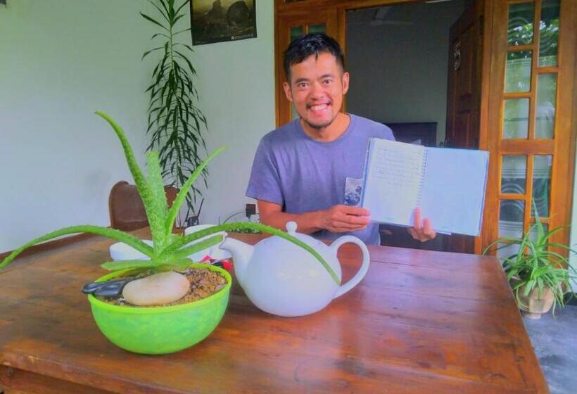 تختخواب و صبحانه Aloe Vera Guest House