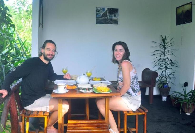 تختخواب و صبحانه Aloe Vera Guest House
