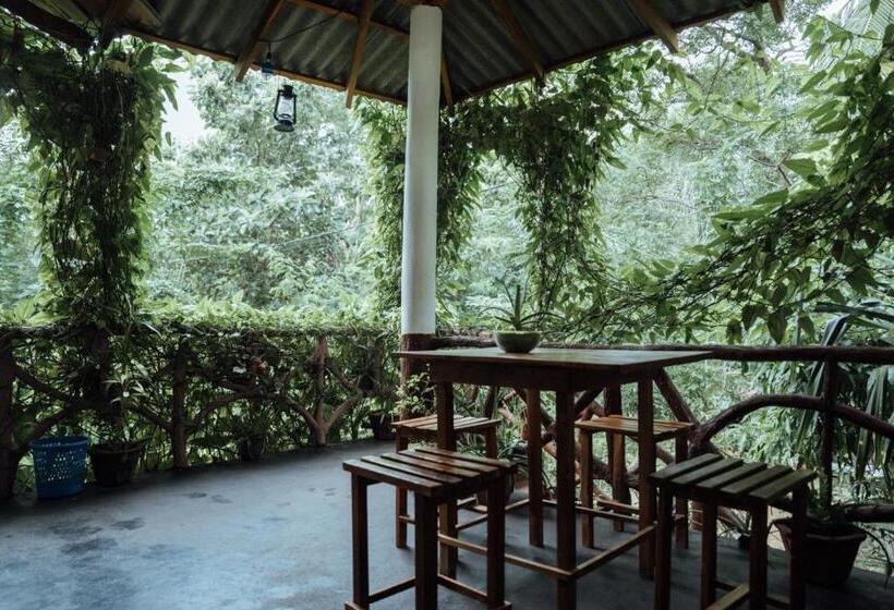 تختخواب و صبحانه Aloe Vera Guest House