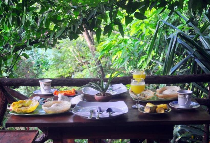 تختخواب و صبحانه Aloe Vera Guest House