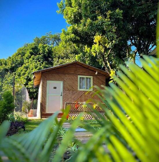هتل O Royal Tree Cafe And Resort