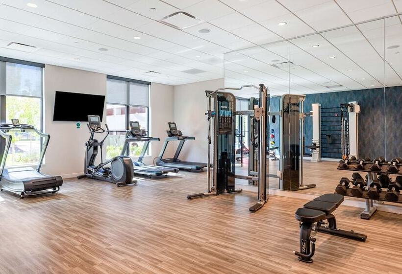 Cambria Hotel New Haven University Area