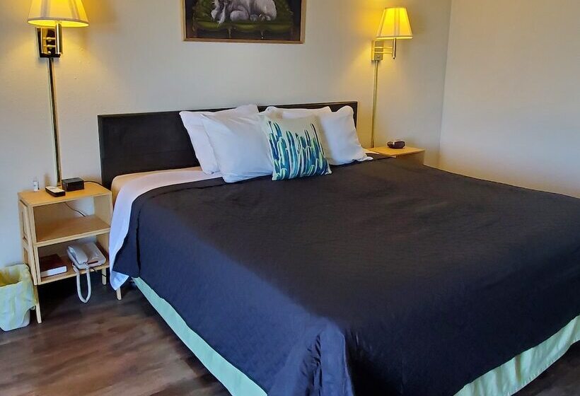 מוטל Cactus Inn & Suites