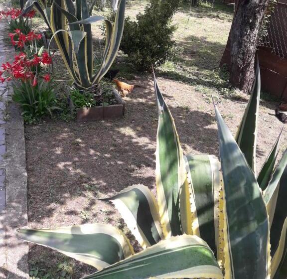 پانسیون Ni  Ke