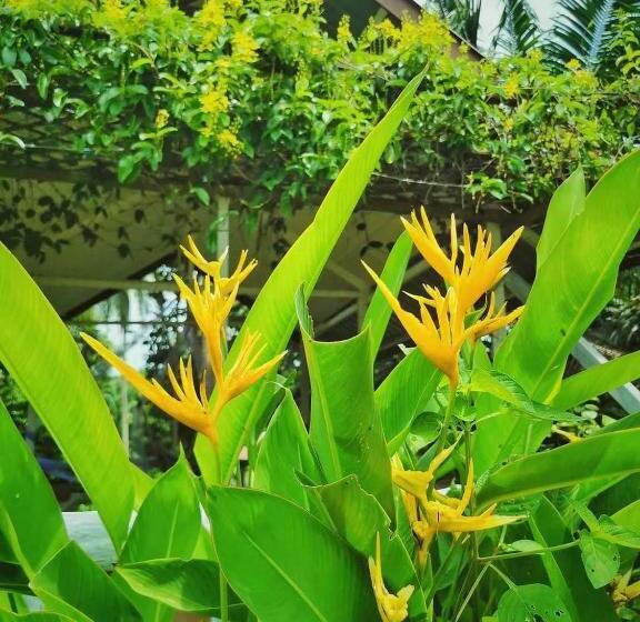 استراحتگاه Timba Garden Free Town And Jetty Transport