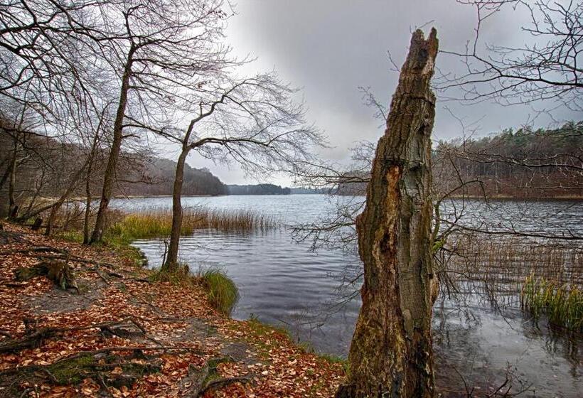 Отель Am Liepnitzsee
