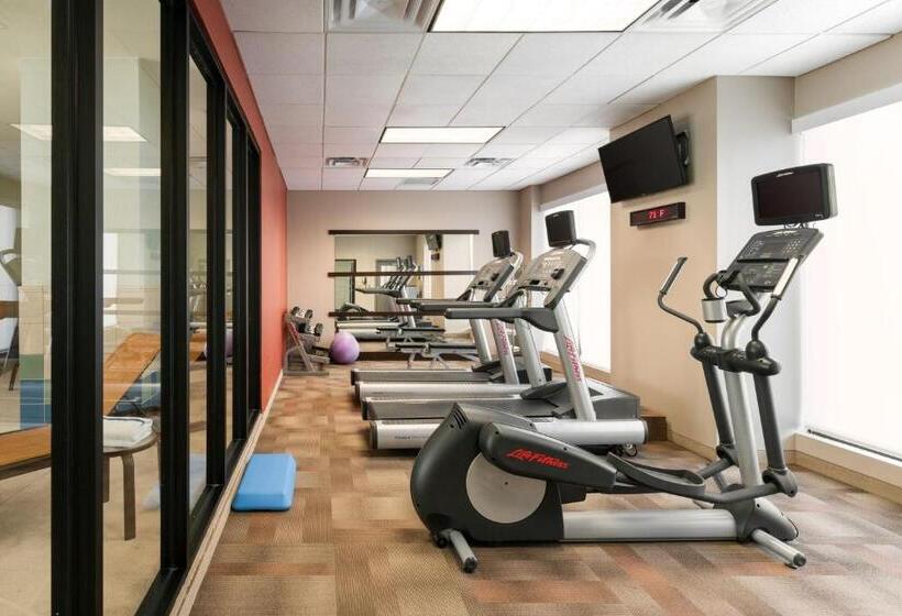 ホテル Courtyard By Marriott St. Petersburg Downtown