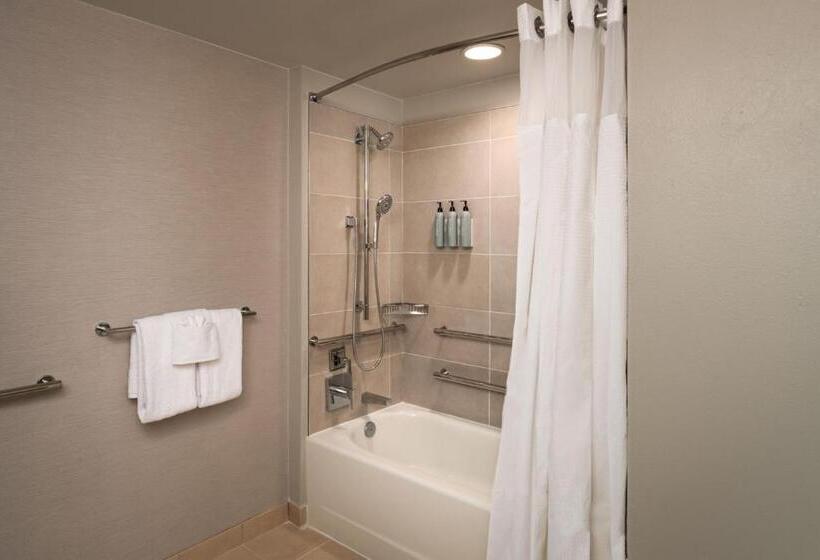 ホテル Courtyard By Marriott St. Petersburg Downtown