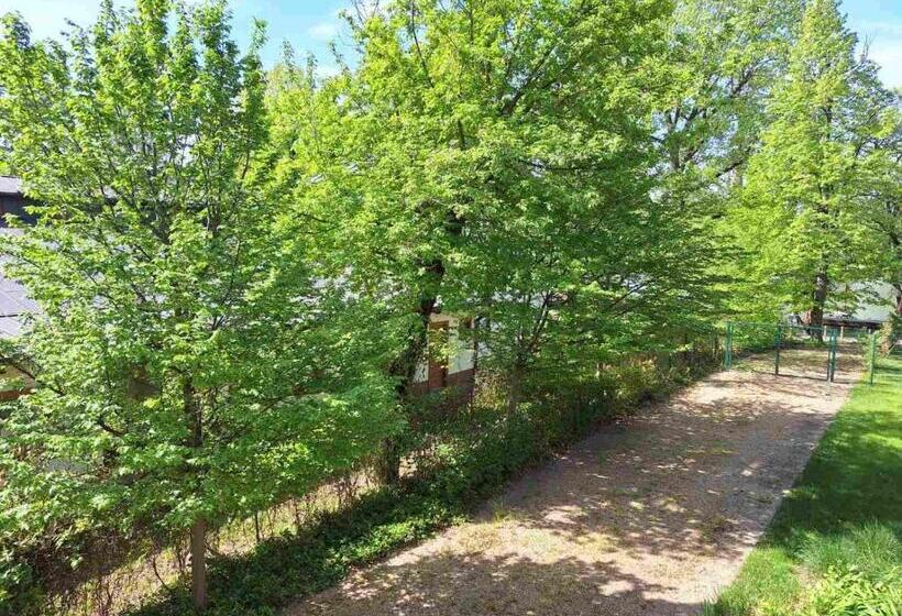 Fotos del hotel Duna Garden:  37