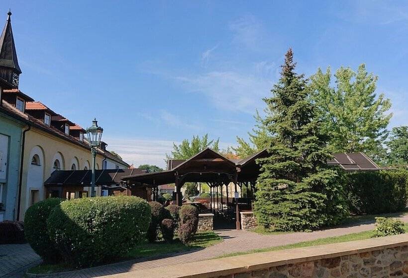 Fotos del hotel Certousy:  12