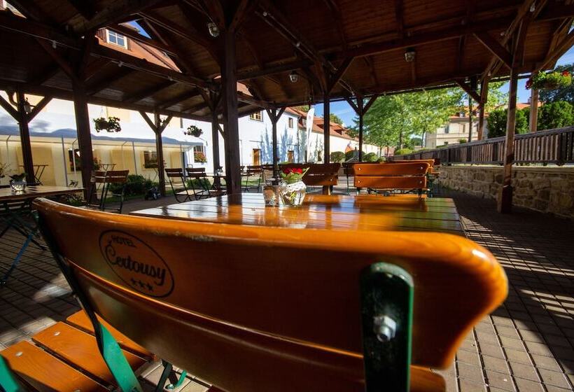 Fotos del hotel Certousy:  6