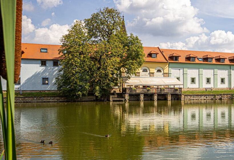 Fotos del hotel Certousy:  10