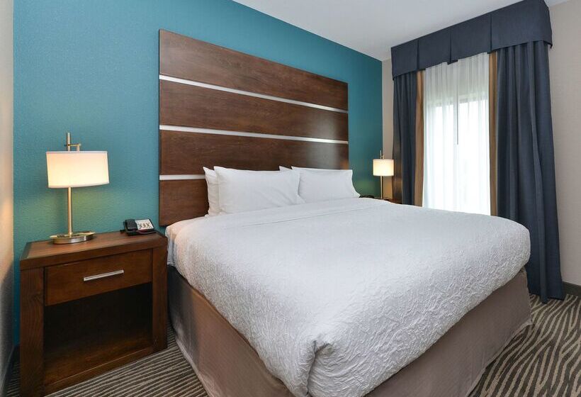 هتل Hampton Inn & Suites Des Moines Downtown