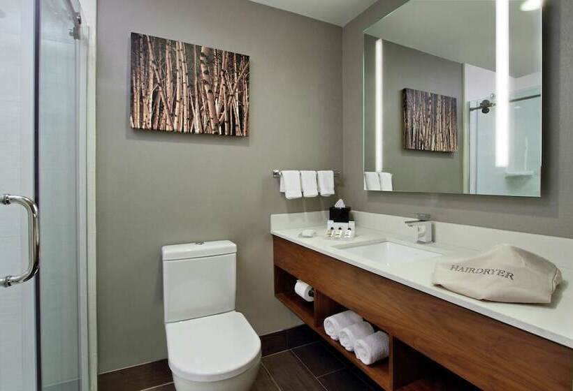 هتل Hilton Garden Inn New York/midtown Park Ave