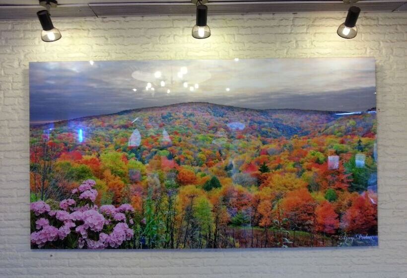 Fotos del hotel Kanchan Deep:  12