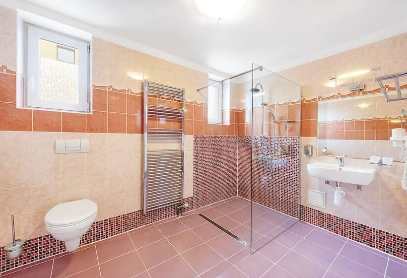 Fotos del hotel Marie - Luisa:  21