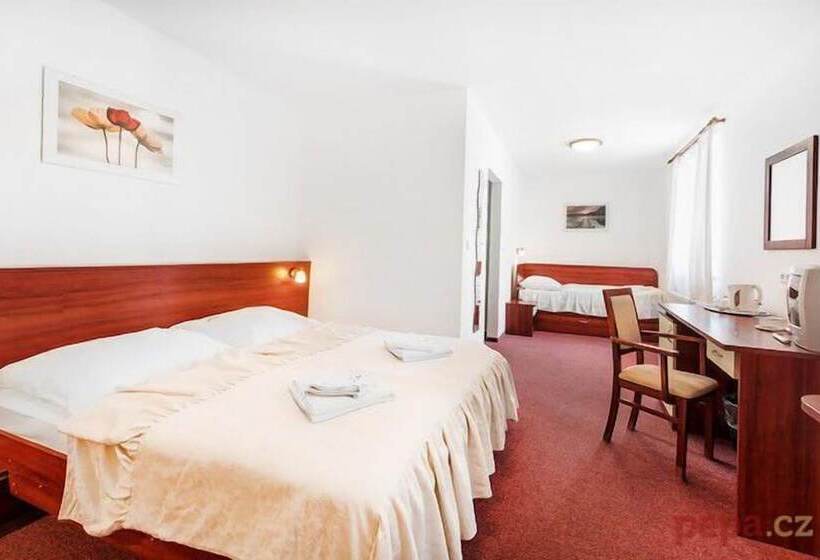 Fotos del hotel Marie - Luisa:  6