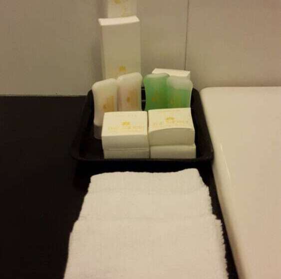 Fotos del hotel The Saneer Jaipur:  38