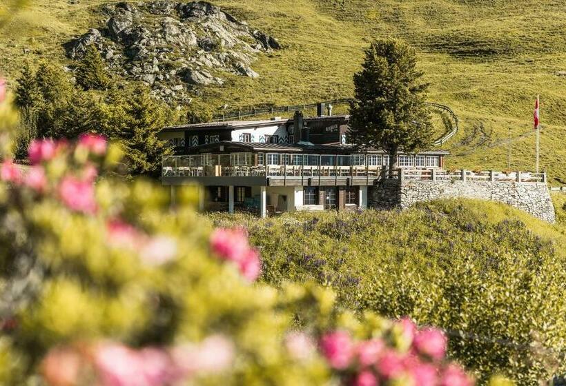هتل Alpenblick Bergrestaurant &