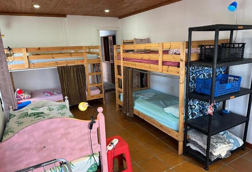 7 Calcosas   Hostel