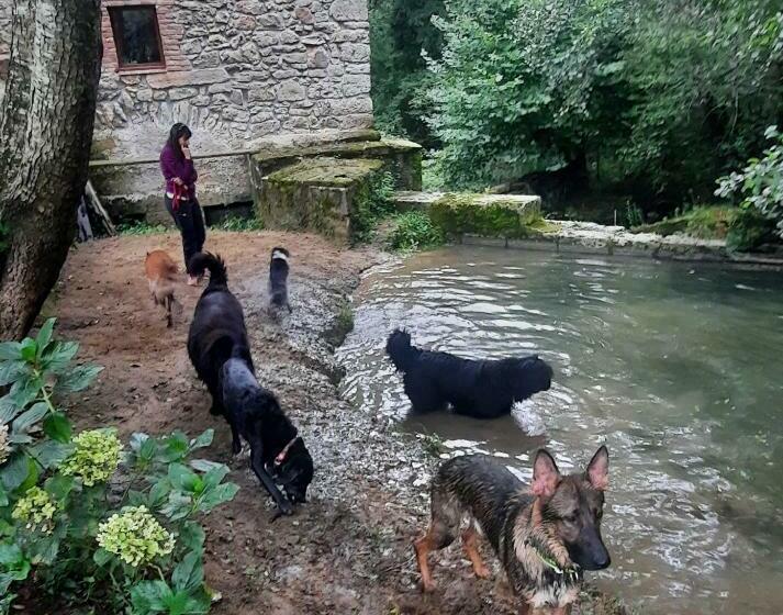 Общежитие Posada Pet Friendly El Molino De Cantabria