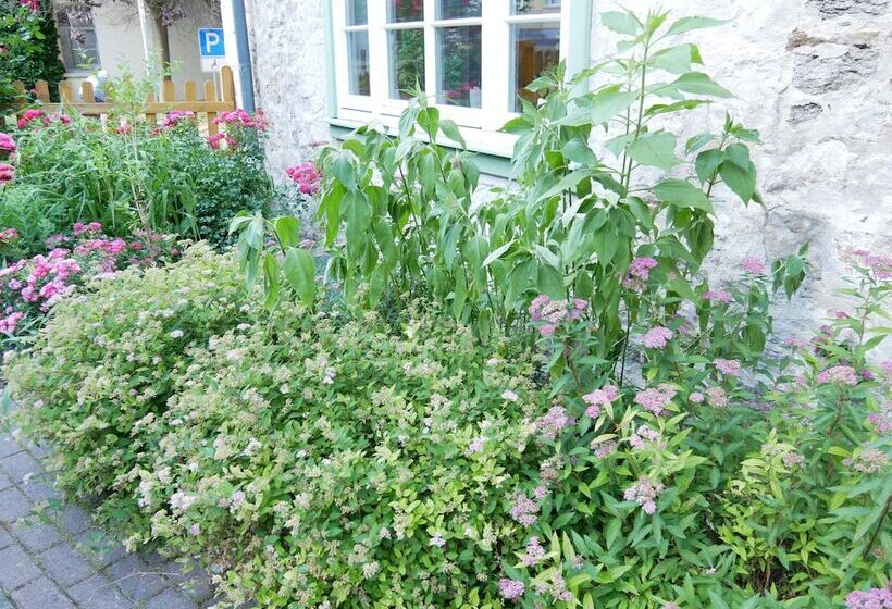 ホテル Schloss Goldacker  Das Schloss Der Gesundheit