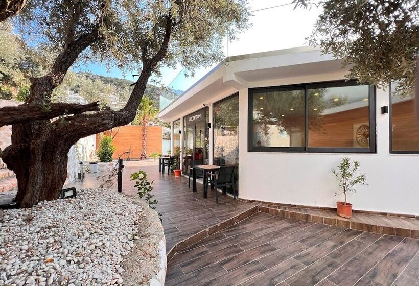هتل Kalkan Beachpark