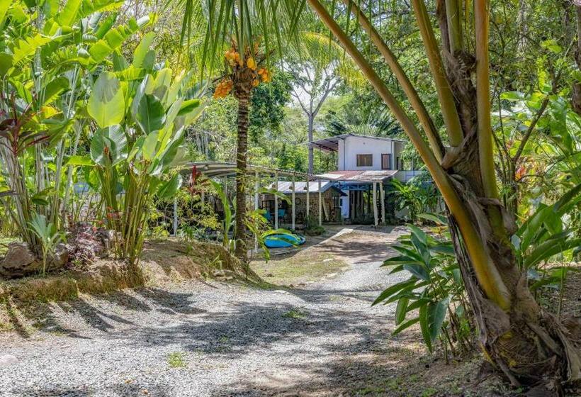 فندق صغير Uvita River Guesthouse