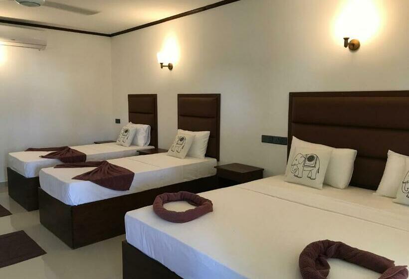 هتل Lemazone Inn