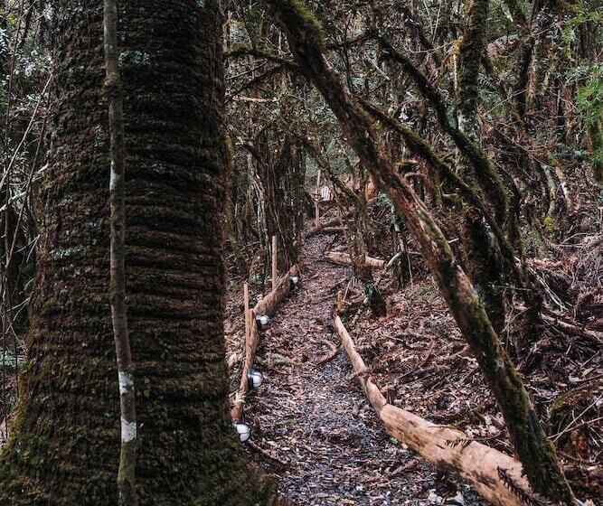 هتل Zion Bubble Glamping