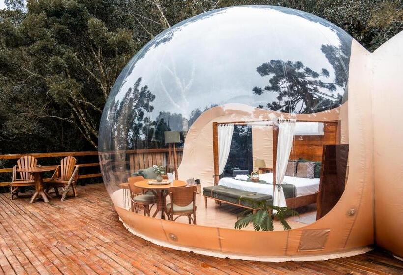 هتل Zion Bubble Glamping