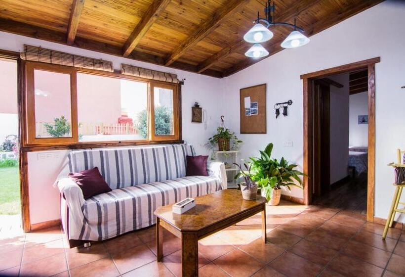 Cozy House Casa Vero Mai Icod De Los Vinos