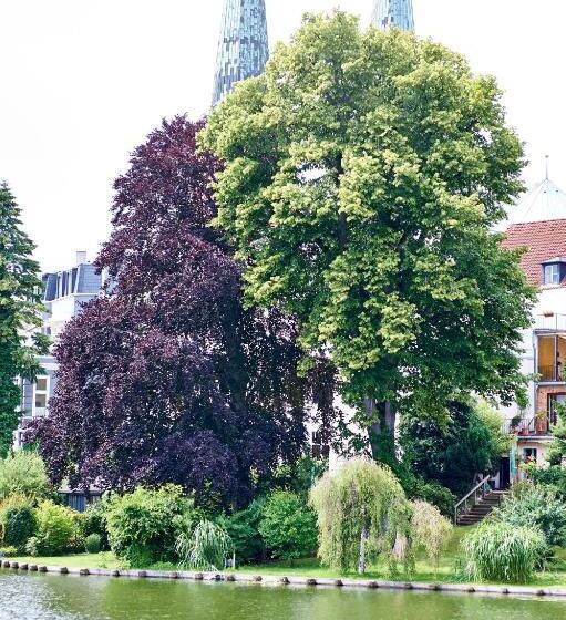 هتل Am Mühlenteich