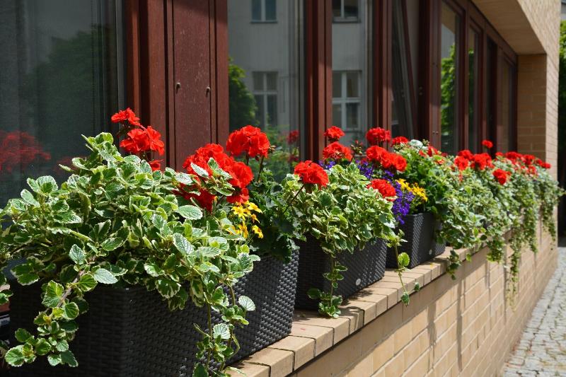 Fotos del hotel Aquino Berlin:  8