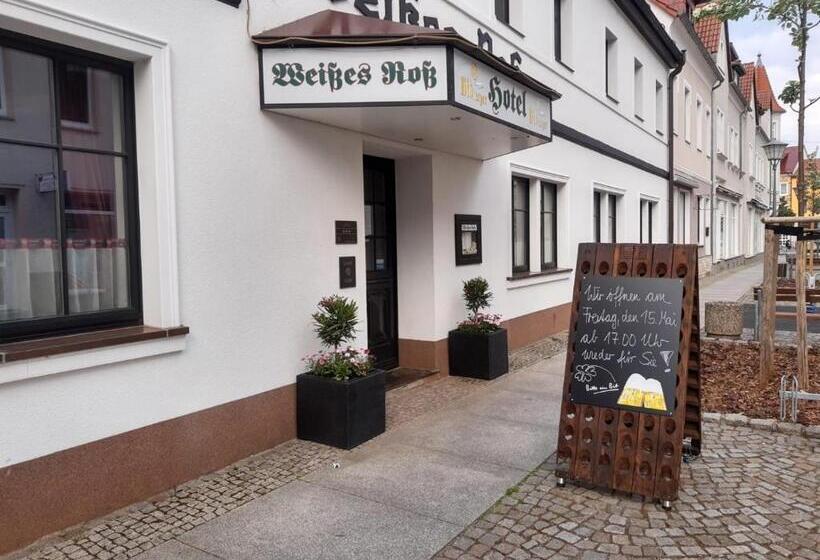 هتل Weißes Roß