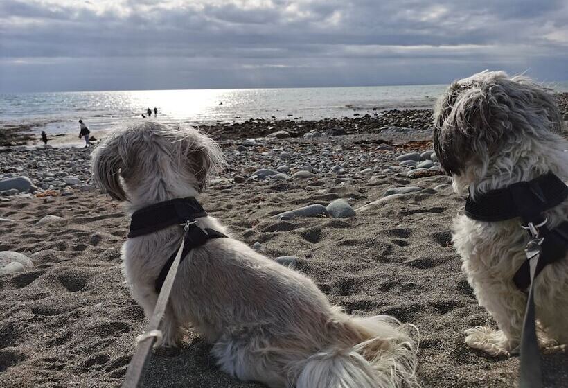 Sea And Mountain View Sunbeach Holiday Snowdonia