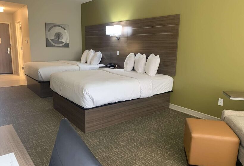 هتل Best Western Plus Horseheads Inn & Suites