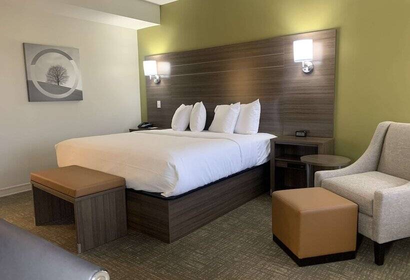 هتل Best Western Plus Horseheads Inn & Suites