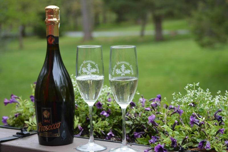 膳宿费 Shadow Mountain Escape Cabin Rentals