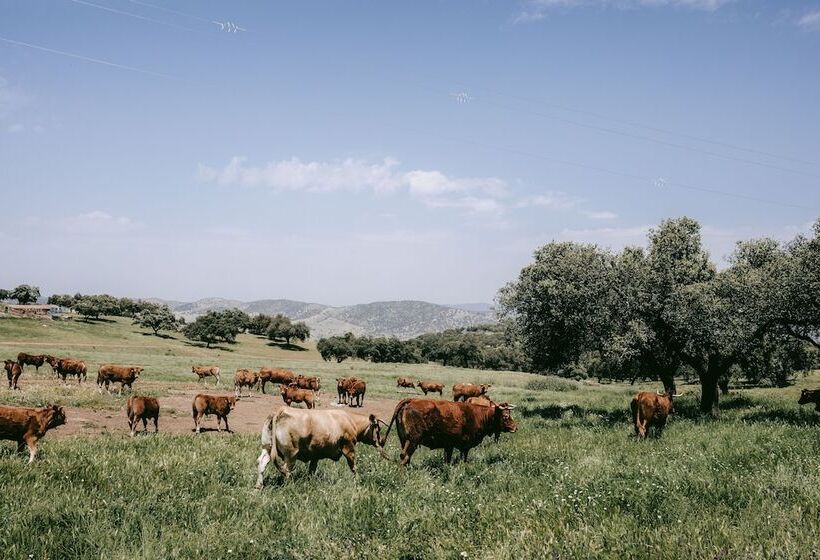 בית מלון כפרי La Dehesa De Don Pedro