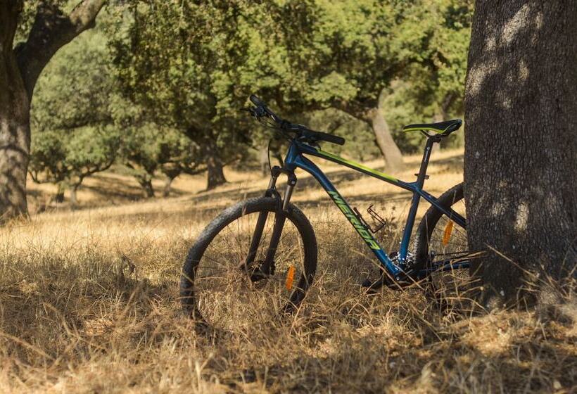 בית מלון כפרי La Dehesa De Don Pedro