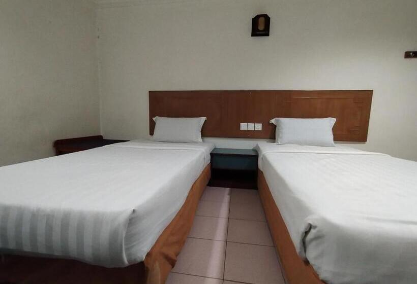 هاستل Faber Inn