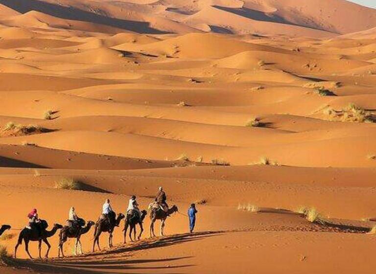 تختخواب و صبحانه Best Desert Luxury Camp