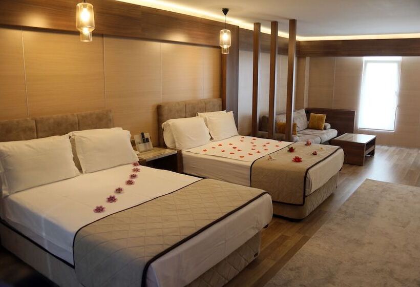 Basmacioglu Hotel   Special Class
