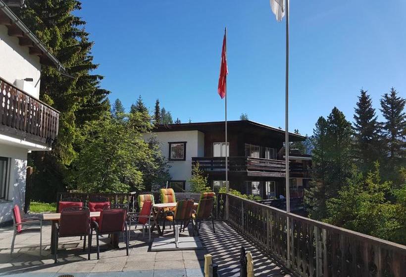 Fotos del hotel Chalet-hotel Larix:  8