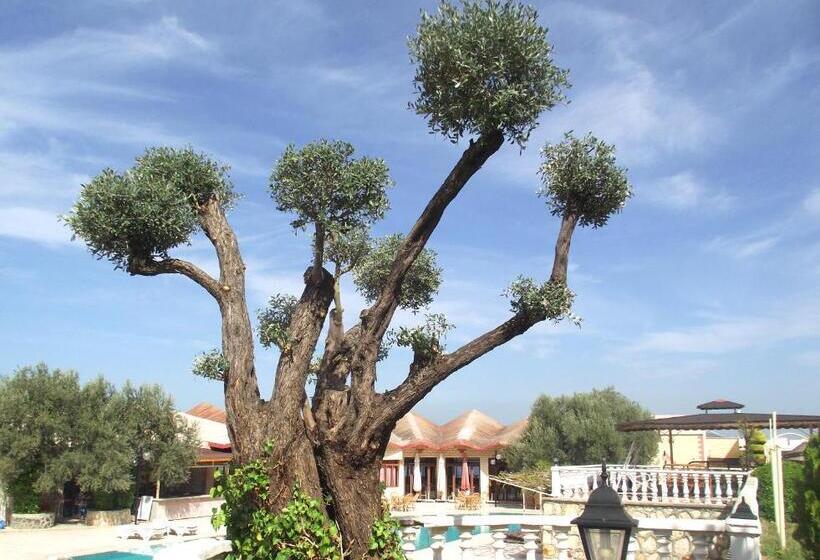 هتل Alize Resort