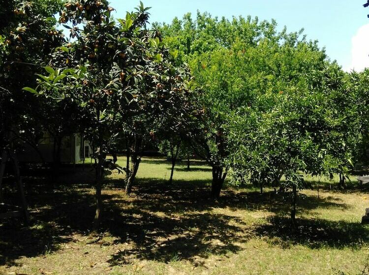 Отель Armina Pension