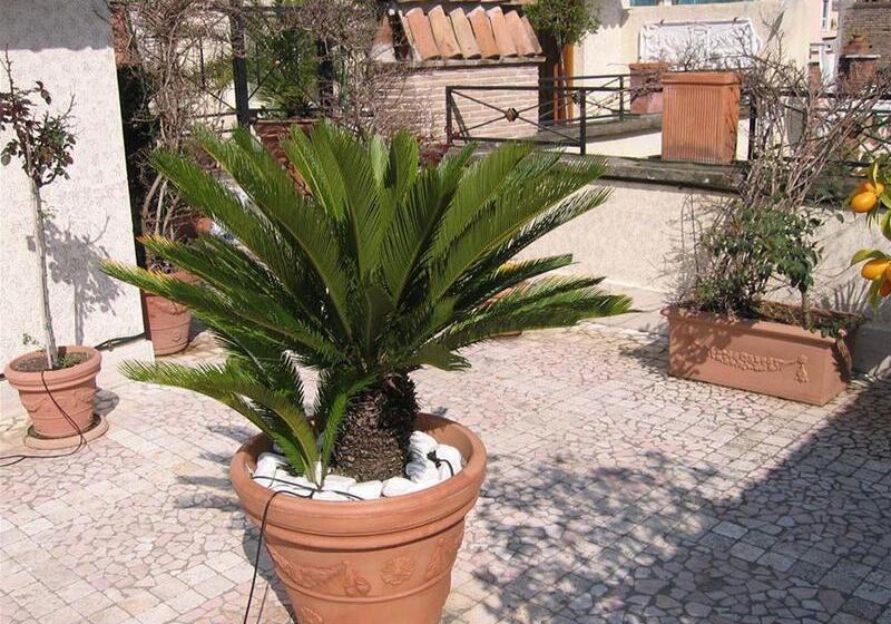 Fotos del hotel Celio:  56