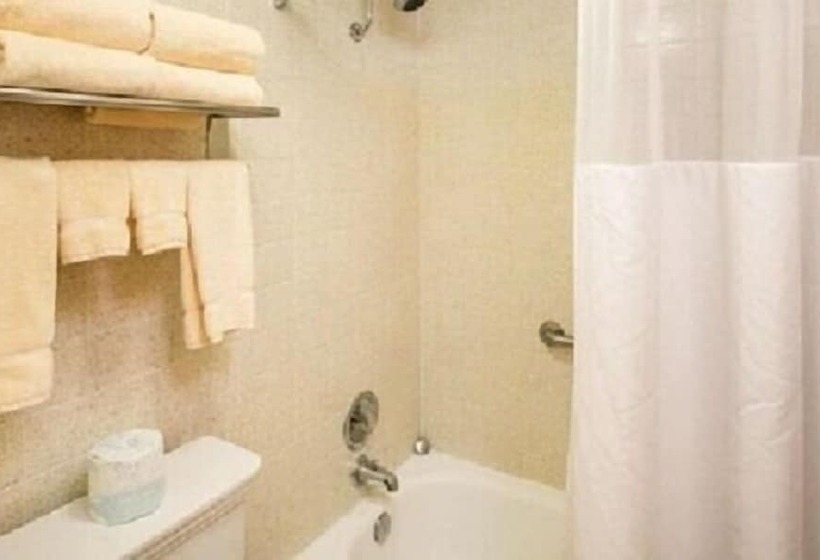 בית מלון כפרי Hampton Inn & Suites Center
